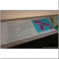 12-43 Pasteur 2021-09-21 10.jpg